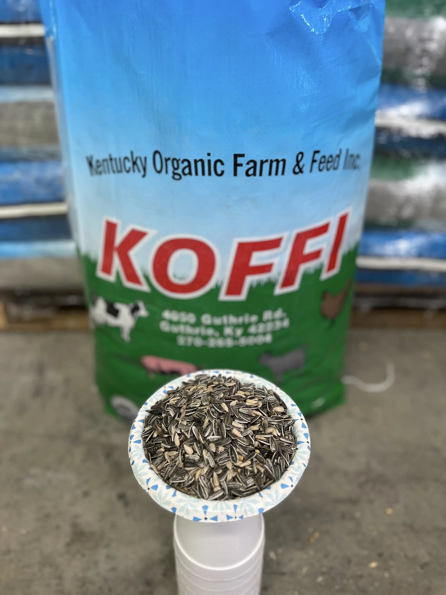 Organic Black Oil Sunflower Seeds (25lb Bag) (Code 11)