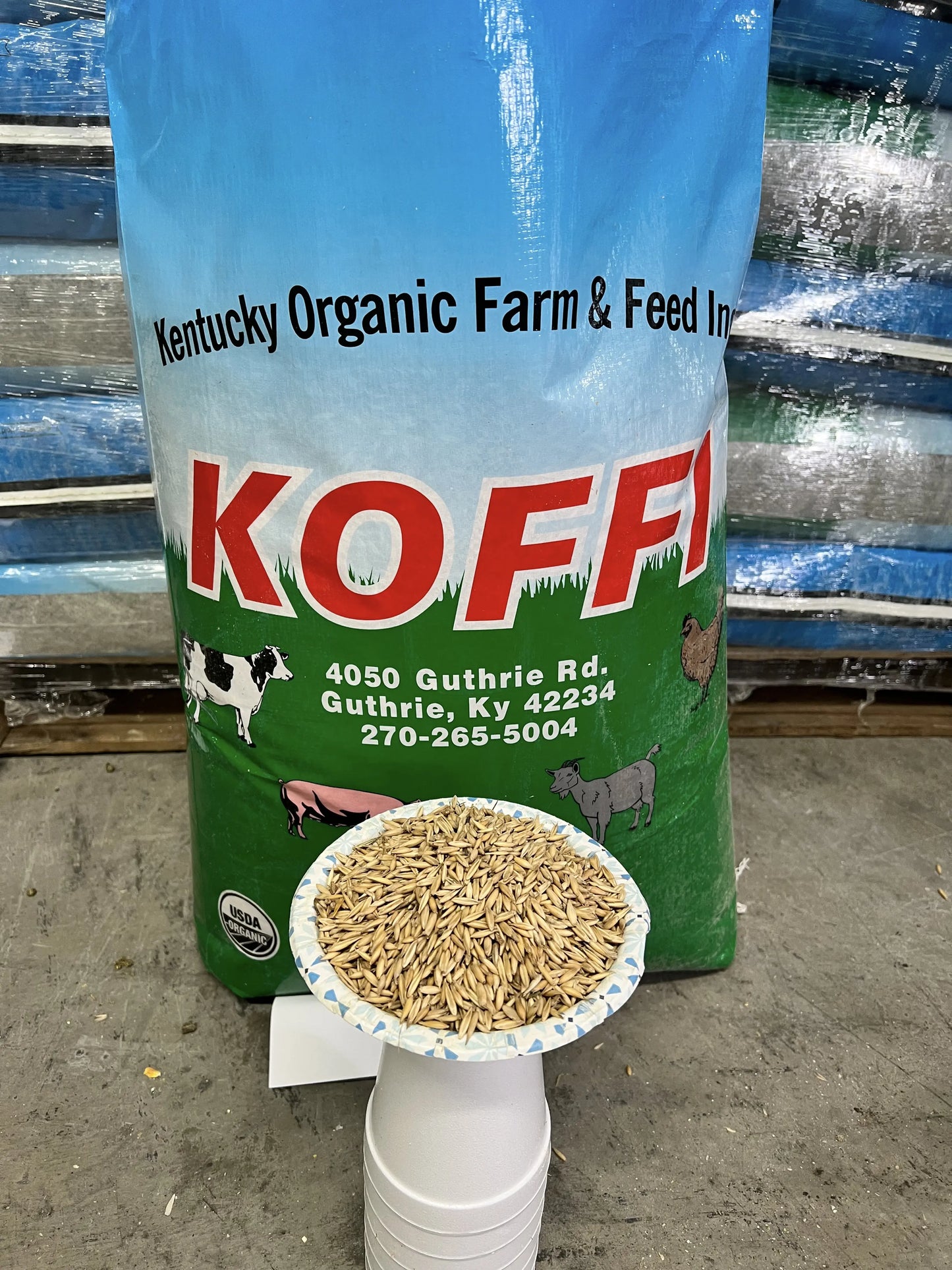 Organic Oats (50lb Bag) (Code 6)