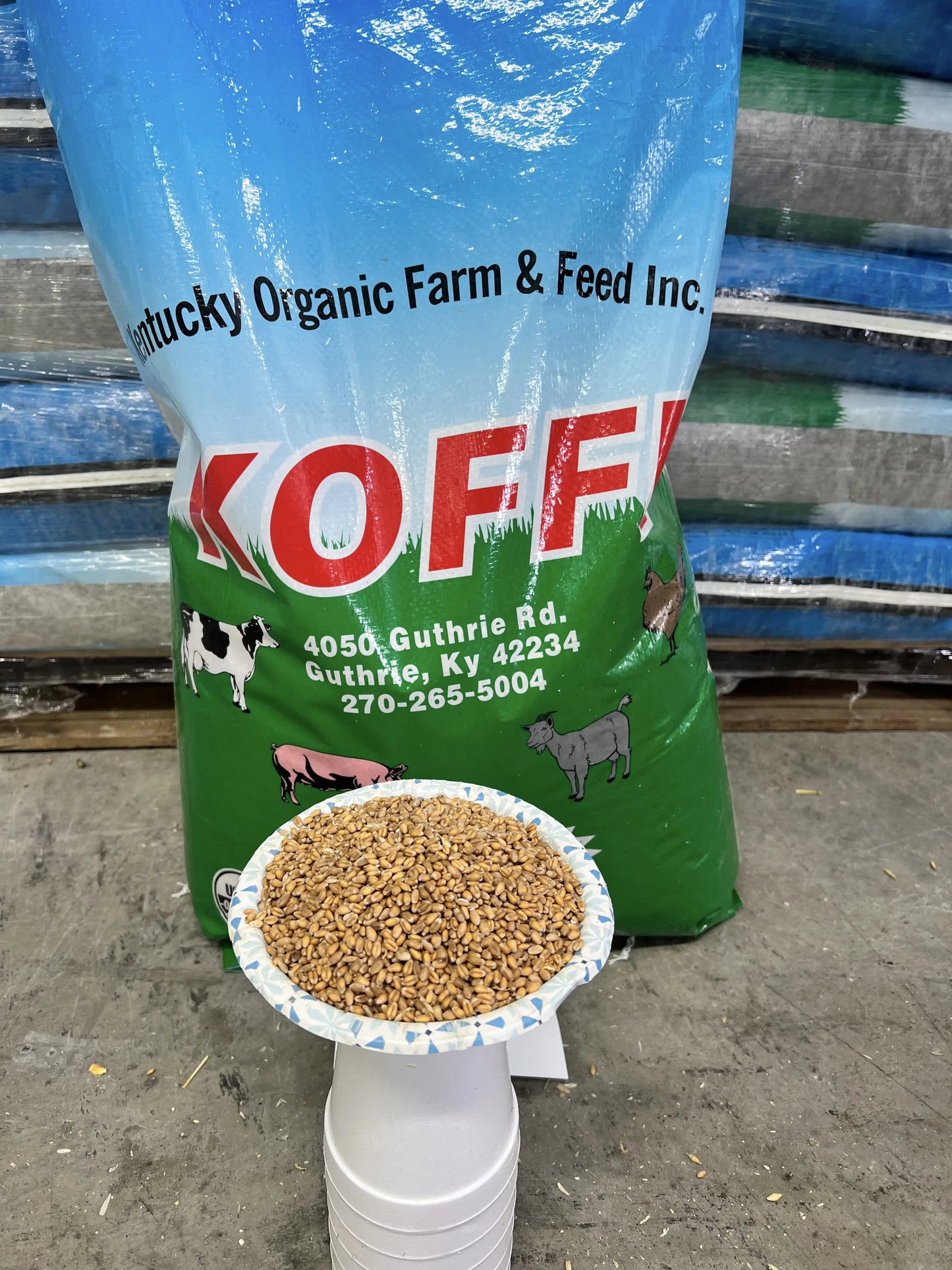 Organic Wheat (50lb Bag) (Code 10)
