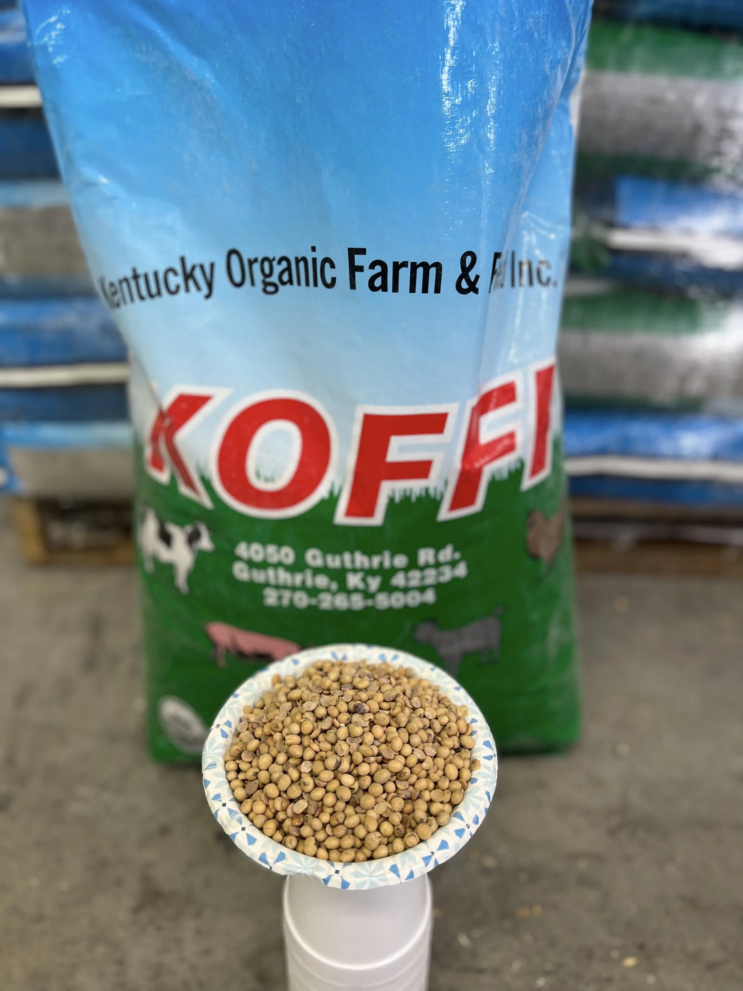 Organic Roasted Soybeans (50lb Bag) (Code 7)