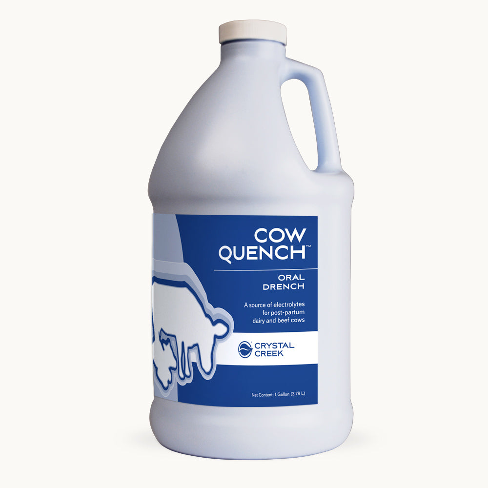 Crystal Creek® Cow Quench™ (1 Gallon)