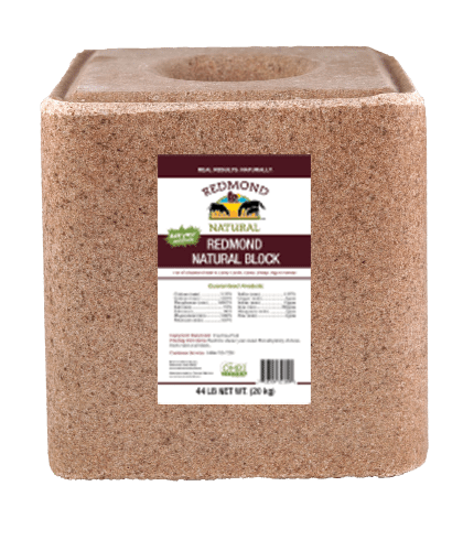 Redmond Natural Salt Block (25lb Block)