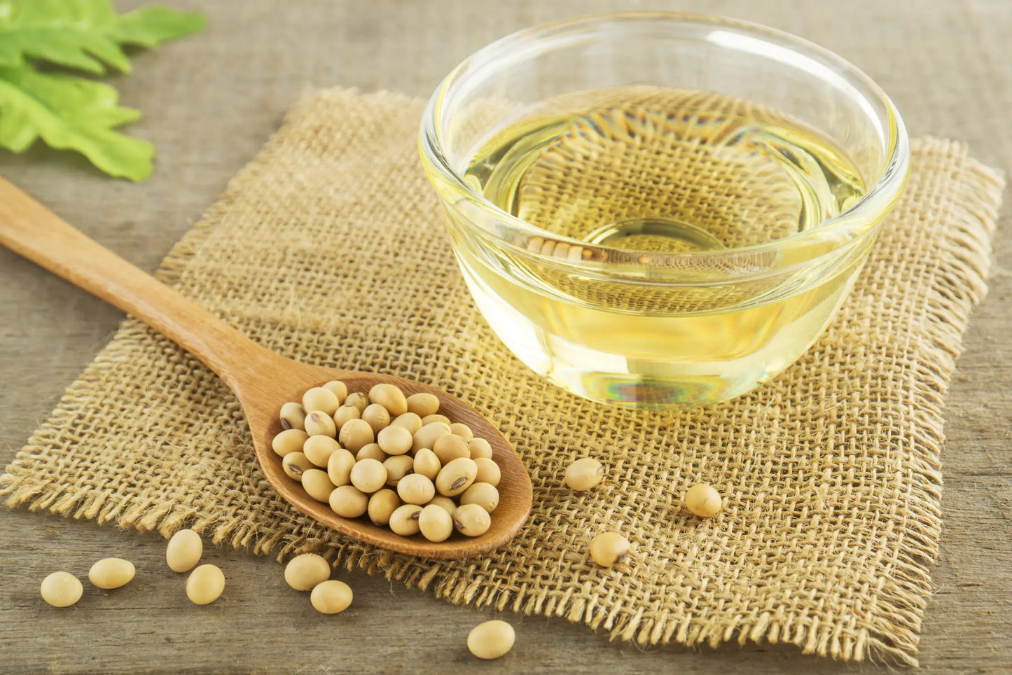 Organic Soybean Oil (2,000lb Tote)